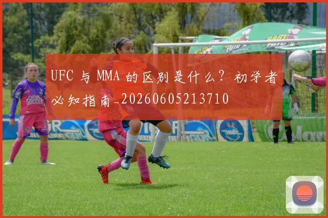 UFC 与 MMA 的区别是什么?初学者必知指南_20260605213710