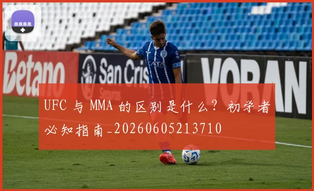 UFC 与 MMA 的区别是什么?初学者必知指南_20260605213710