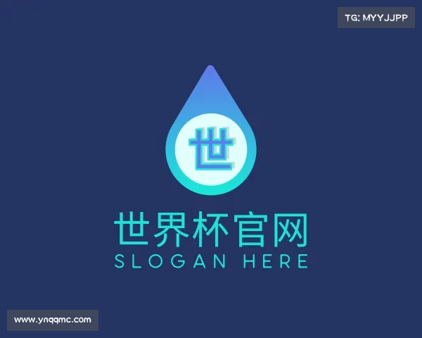 解读世界杯官网